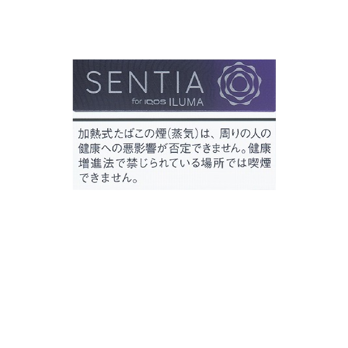 センティア・アイシー・パープル　Ｅ
