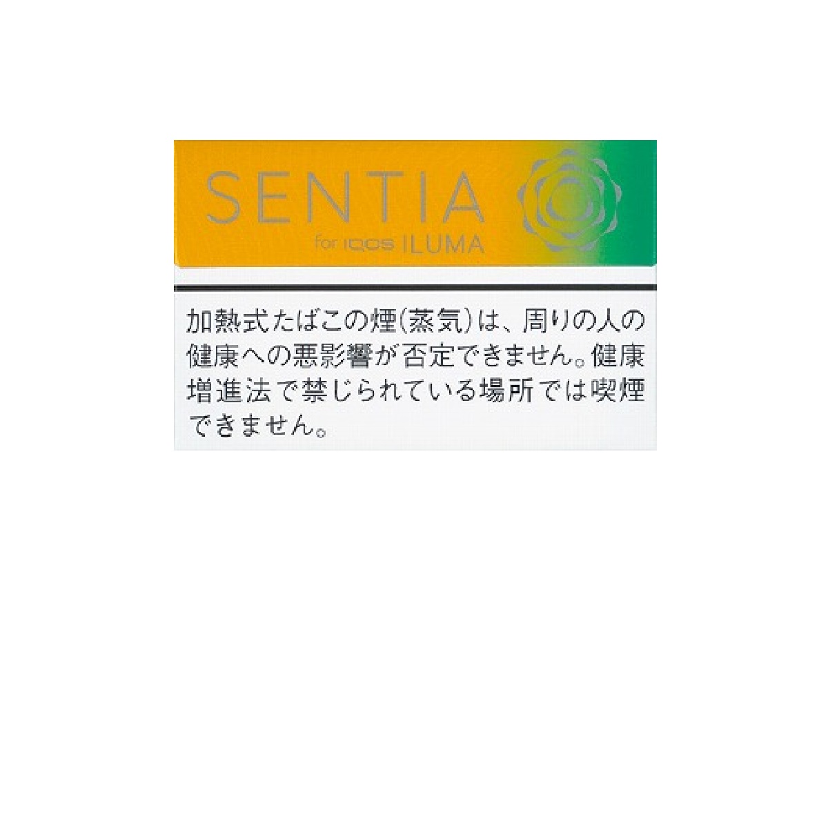 センティア・トロピカル・イエロー　Ｅ