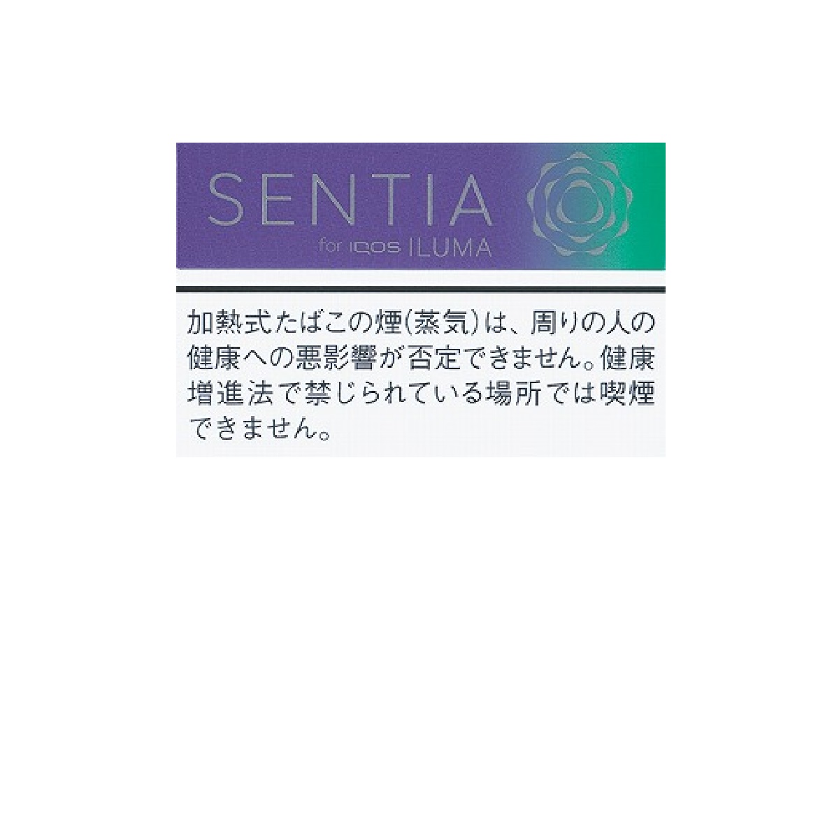 センティア・フレッシュ・パープル　Ｅ