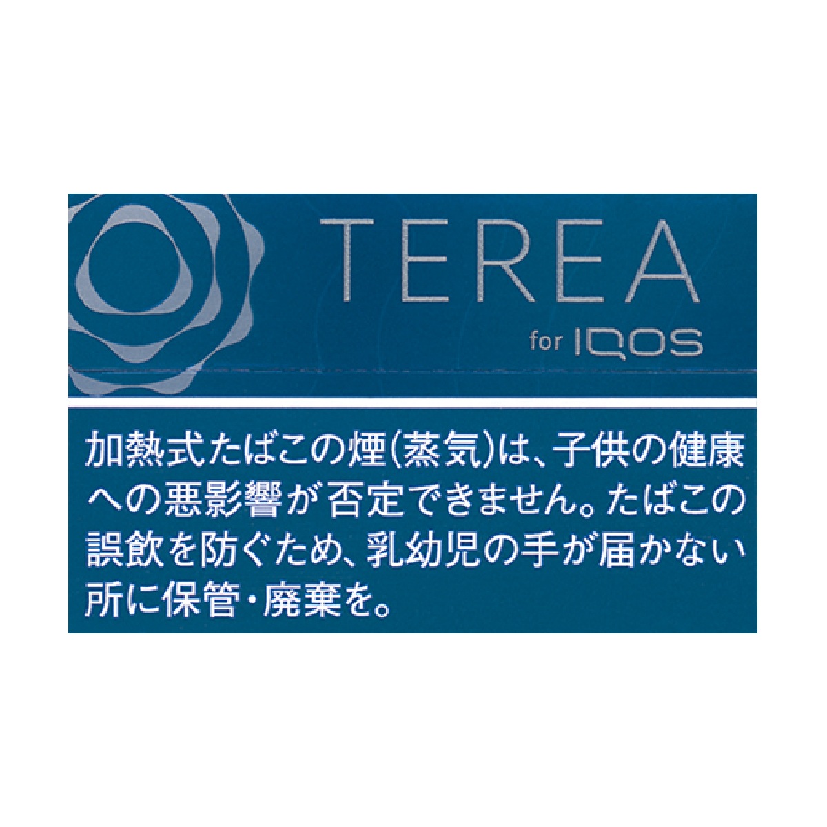 テリア・リッチ・レギュラー　Ｅ